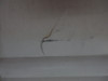 Cessna 172E RH Vertically Adjustable Seat PN 0700630-12 (CALL OR EMAIL TO BUY)