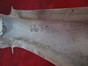 Beechcraft 76 Duchess Tail FWD Fairing W/ Antenna PN 105-600011-31