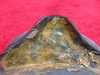 Cessna Control Wheel Yoke Pad