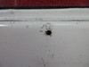 Cessna 172 RH Cabin Door (CALL OR EMAIL TO BUY)