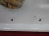 Cessna 172 RH Cabin Door (CALL OR EMAIL TO BUY)