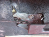 Beechcraft B24R Sierra LH Cabin Door PN 169-420036-661 (CALL OR EMAIL TO BUY)