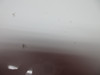 Cirrus SR22 LH Lower Wing Tip W/ Lights & Power Supply PN 38214-001