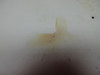 Cessna 172N Baggage Door Cover PN 0717000-18