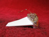 uAvionix SkyBeacon ADS-B Out, LED Nav & Strobe Light PN UAV-1001856-002