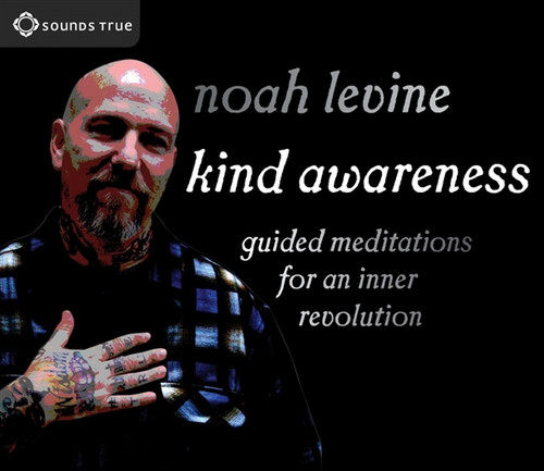 Kind Awareness - Guided Meditations for an Inner Revolution by Noah Levine Audiobook