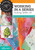 Working in a Series - Making Better Art with Jenn Mason and Julie Fei-Fan Balzer DVD