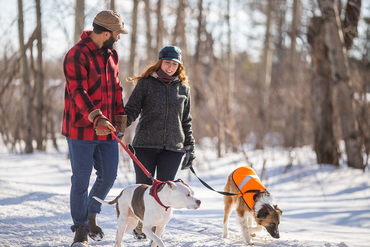 Soft Shell Dog Jacket - Reflective Winter Dog Vest