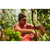 Woman in a greenhouse picking fresh basil wearing a green Adjustable Trail Cap and bright pink overalls.