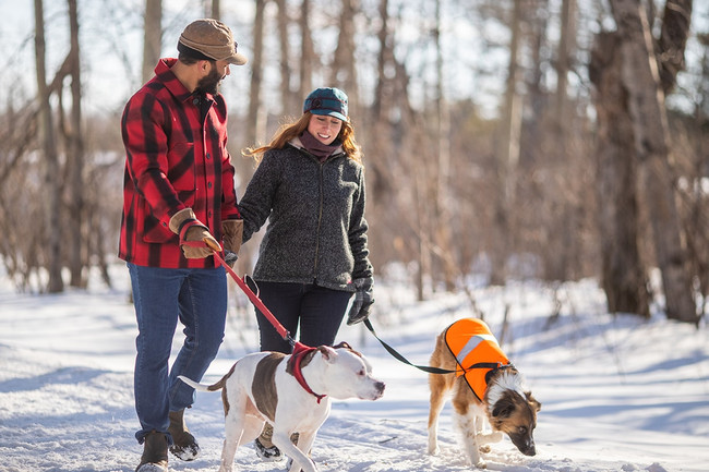 The SK Dog Jacket Soft Shell| Stormy Kromer®