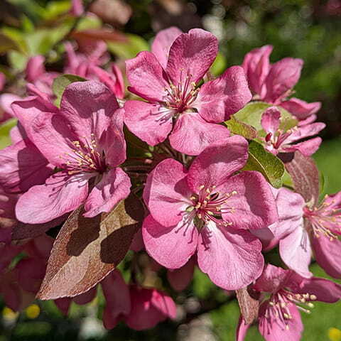 SHOP FOR MOM collection