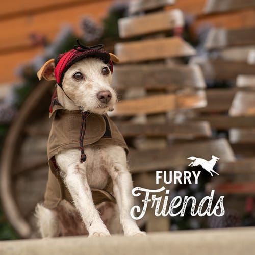 Stormy Kromer Gifts for Pets