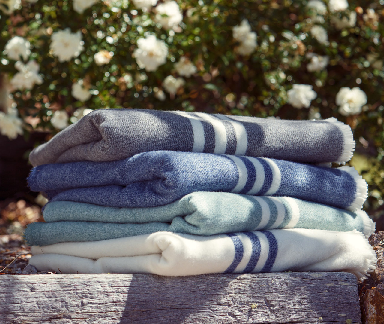 COAST Bendigo Woollen Blankets