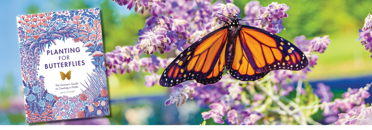 Planting for Butterflies