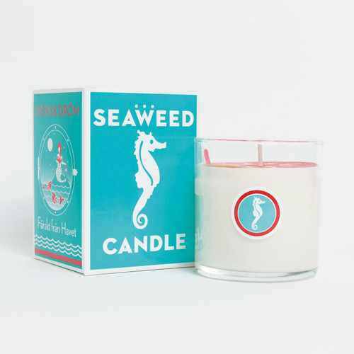 seaweed candle seaweed candle