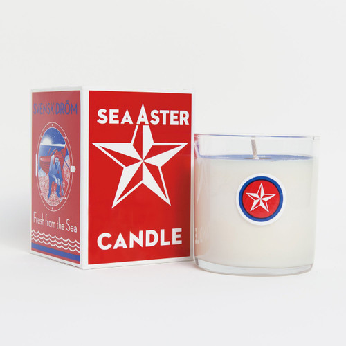 sea aster candle sea aster candle