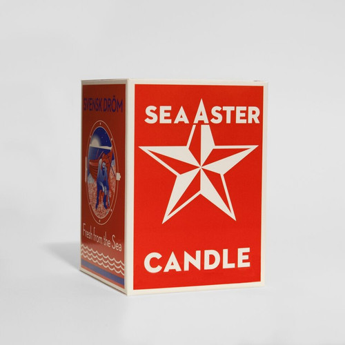 sea aster candle sea aster candle