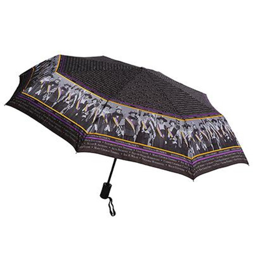 votes for women umbrella votes for women umbrella