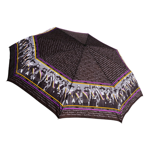 votes for women umbrella votes for women umbrella