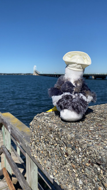 Seymore the Seagull Plush Toy