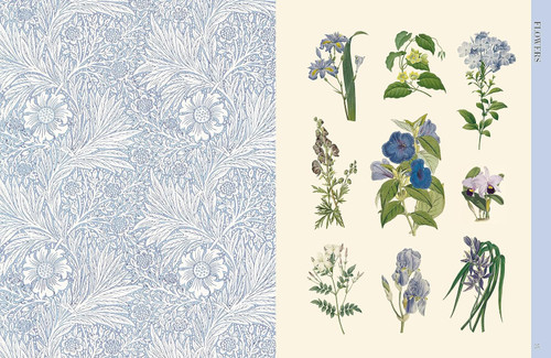 Botanical Art to Cut Out and Collage: Over 500 botanical illustrations to inspire creativity