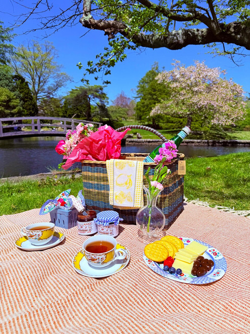 Newport Mansion's Original Wild Blueberry Jam Newport Mansion's Original Wild Blueberry Jam
