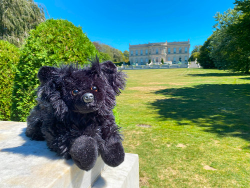 Hippodale the Plush Papillon