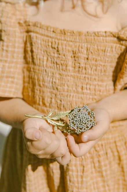 Queen Anne's Lace Bronze Brooch
