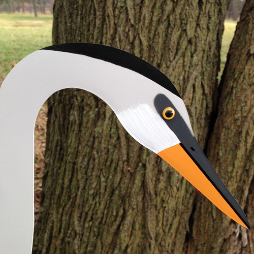 Dancing Lawn Blue Heron Dancing Lawn Blue Heron