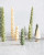 Gold Pine Tree Candles