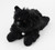 Hippodale the Plush Papillon
