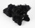 Hippodale the Plush Papillon