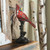 Cardinal Stained Glass Accent Lamp