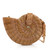 Golden Shell Crossbody Handbag
