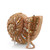 Golden Shell Crossbody Handbag
