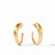 Gold Hammered Hoop Earrings (Medium)