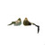Orn Clip Bird