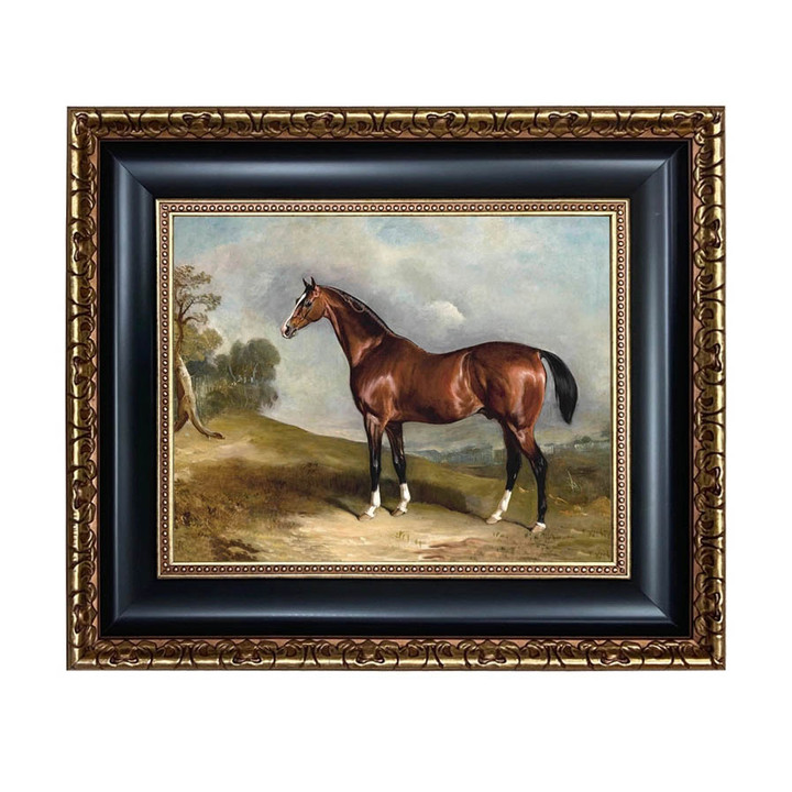 Framed Print - Landscape Portrait of Sultan