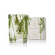 Frasier Fir Votive Candle