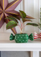 Green Holiday Candy Planter