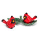 Cardinal Salt & Pepper Shakers