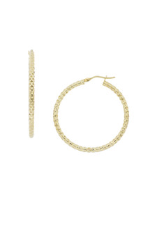 Everyday Twisted Hoops