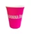 MADONNA INN PARTY CUP