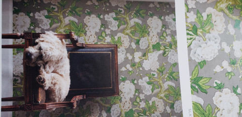 SCHUMACHER BERMUDA BLOSSOMS WALLPAPER BY THE YARD - Thundersley Interiors