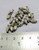 925 sterling silver 100pcs loose beads accessories jewelry 11585