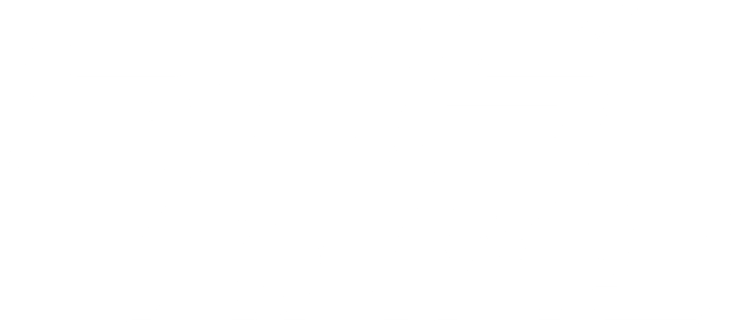 SDS Arms