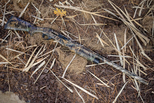 The Spandau S2 Realtree Camo Shotgun is Designed for Versatility and Long Treks - Realtree
