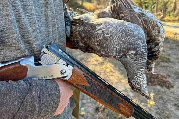 Spandau Arms Premier Field Over/Under Shotgun Review - Petersens Hunting Spandau Arms Premier Field Over/Under Shotgun Review - Petersens Hunting