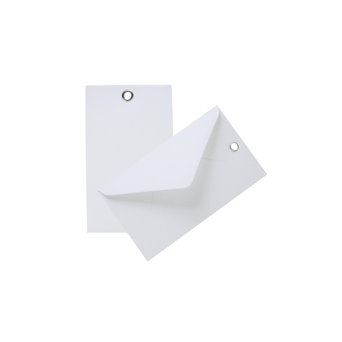 White w/Hole - 4.25 x 2.5 in.