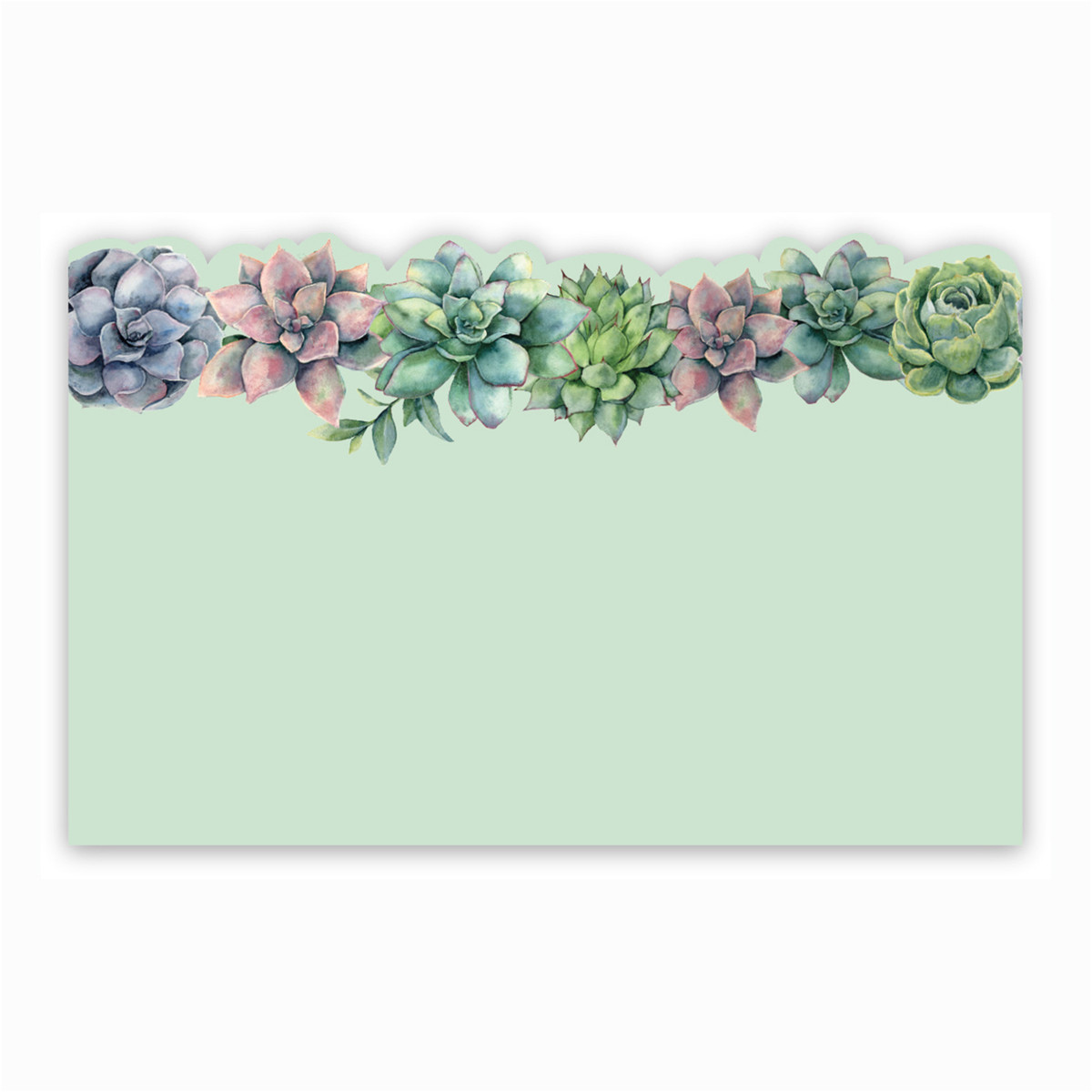 Succulents w/Green Background - 3.5 x 2.25 in.